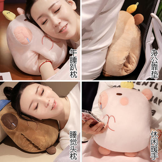 自然醒水晶绒佛系水豚三合一抱枕毯两用可插手午睡枕办公室午休趴枕QYL 商品图5