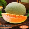 新疆哈密瓜（约3~5斤/个） 商品缩略图0