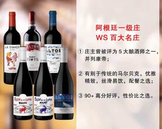 【现货促销，套装更优惠】阿根廷一级名庄：蚁丘酒庄马尔贝克精品干红（6款可选） 商品图0