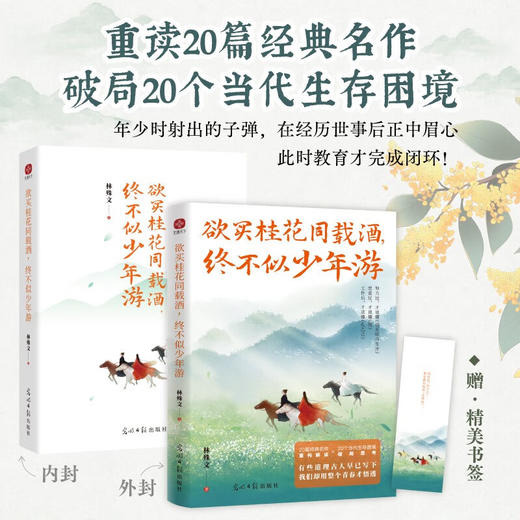 欲买桂花同载酒 终不似少年游 林殊文 著 散文 商品图0