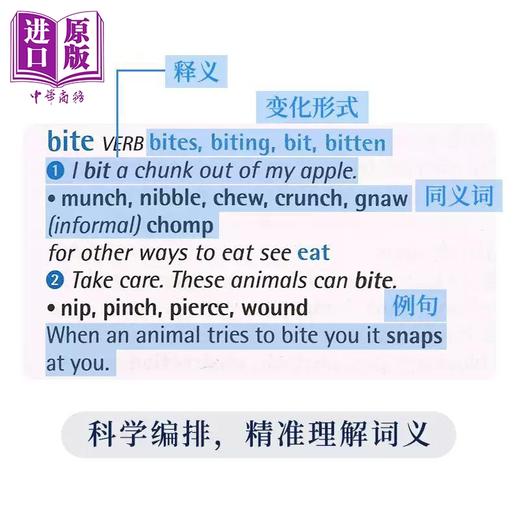 【中商原版】牛津中学生词典套装3册 Oxford Primary Grammar Punctuation Spelling Dictionary Thesaurus同义词语法标点拼写 商品图3