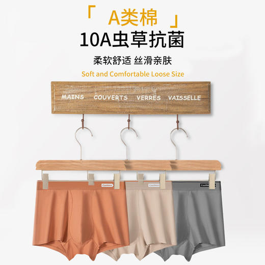 XN-ML253  【1条】纯色A类棉男士内裤纯棉无痕10A虫草抗菌平角裤四角裤    商品图1