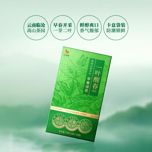 【2026年春茶】八马茶业 | 一叶醒春早春绿茶60g 商品图2