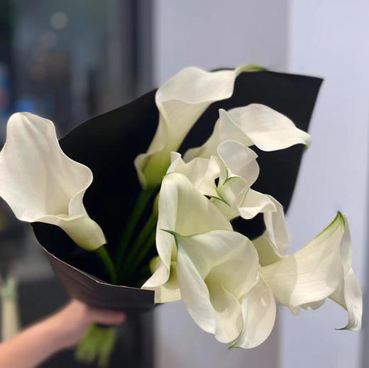 海芋~白色 商品图5