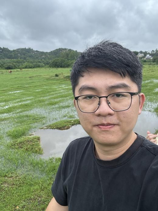 老板自己摘的鸡蛋果 商品图1