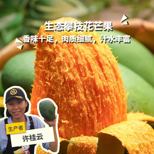 生态芒果（攀枝花）（中通快递）（买5斤发8斤）天热容易过熟，摊开放，软了及时吃 | 合作生产 *Eco-Panzhihua mango | Partner Production 商品图0