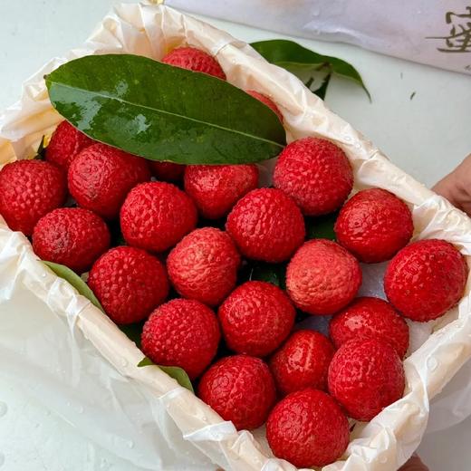 石家庄优选仓库速达 ，蜜麒麟.冰荔，又名红蜜荔，果肉肉质细腻无渣，清甜带蜜味，风味浓郁 ，净重 2.5斤礼盒装 商品图3