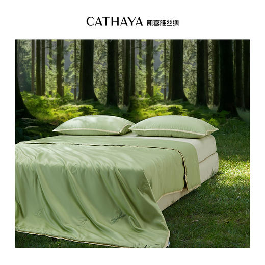 凯喜雅 科技茶纤维夏不语可机洗夏凉被 商品图6