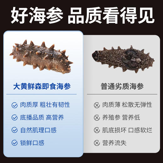 大黄鲜森 大连即食海参（15-20头）500g 商品图3