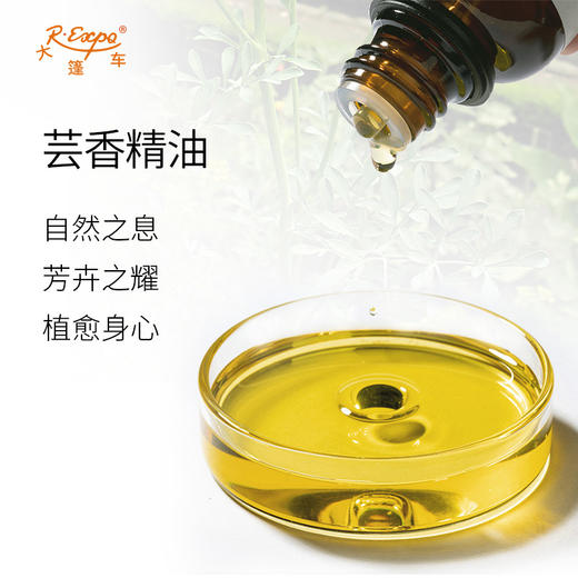 芸香精油 Rue 西班牙进口单方精油原料批发芳疗护理调香手工DIY 商品图1
