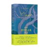 漂泊的灵魂 克努尔普 赫尔曼·黑塞 著 小说 商品缩略图4
