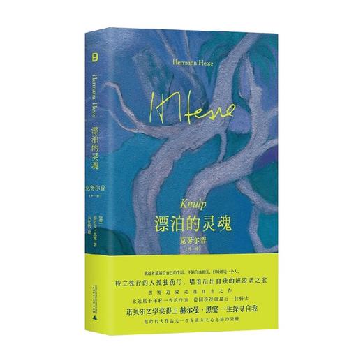 漂泊的灵魂 克努尔普 赫尔曼·黑塞 著 小说 商品图4