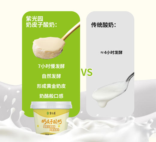 紫光园奶皮子酸奶（清真）【限时活动6杯送1杯，到7月底】【暑期零食专场】 商品图6