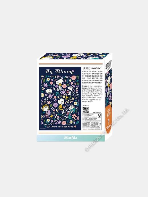 花漾时光/300片 商品图2