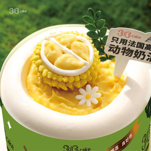 迷你多肉榴莲  | 36 CAKE 商品图1