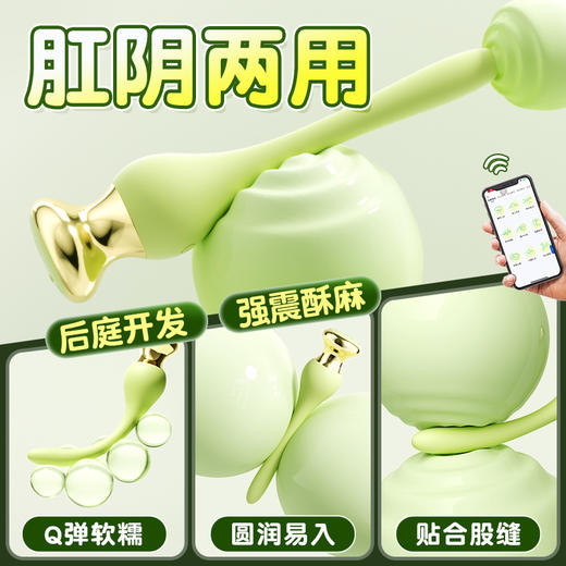 【女用器具】谜姬 云之羽肛塞阴肛两用 商品图3