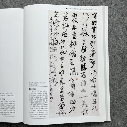 【全国十二届书法篆刻展-草书入展创作手记十二届国展-草书创作手记】 商品图1