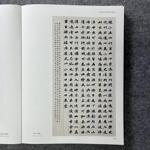 2022中国书法年展 全国楷书作品展作品集  商品图8