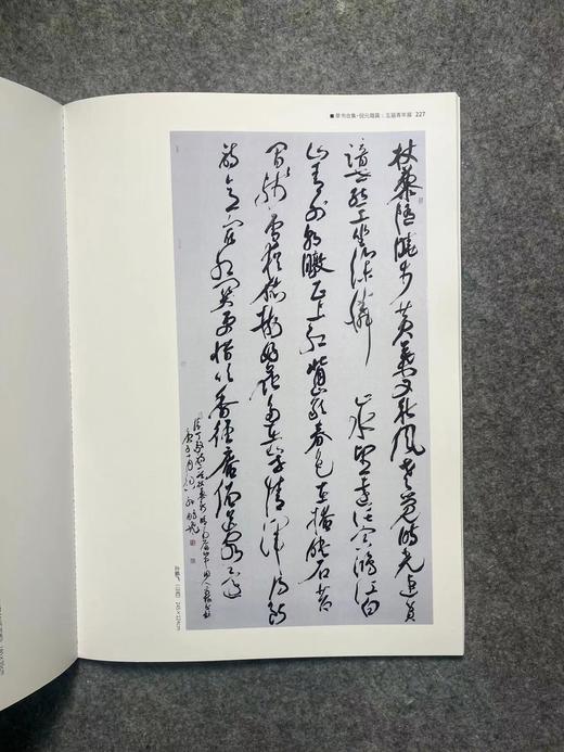 【国展参考-章草王铎倪元璐集】 商品图7