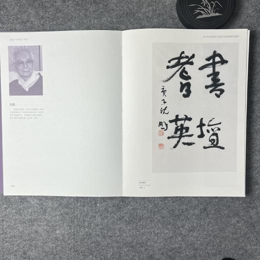 2020中国书法年展 三本一套 商品图14