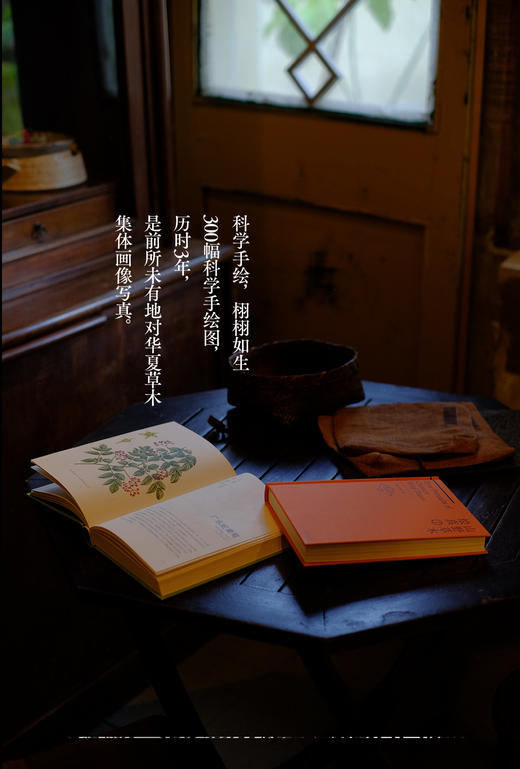 山野草木绘真（收藏版） &3182 一部跨越生态与文明的中国草木视觉志—— 从荒野秘境到人间烟火， 唤醒你忽视的中华草木DNA 商品图2