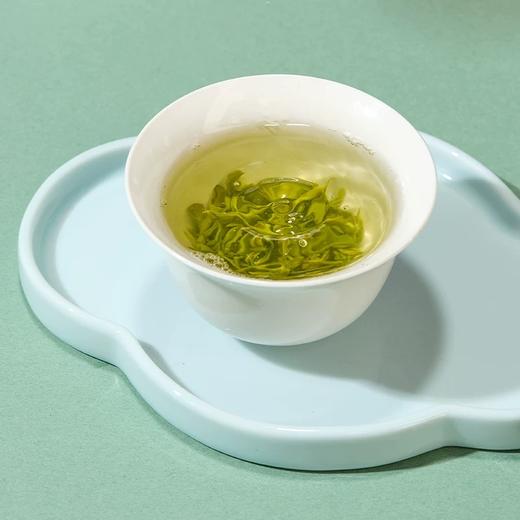 新茶永川秀芽早春嫩芽浓香型重庆特产级绿茶高山明前茶叶100g 商品图2