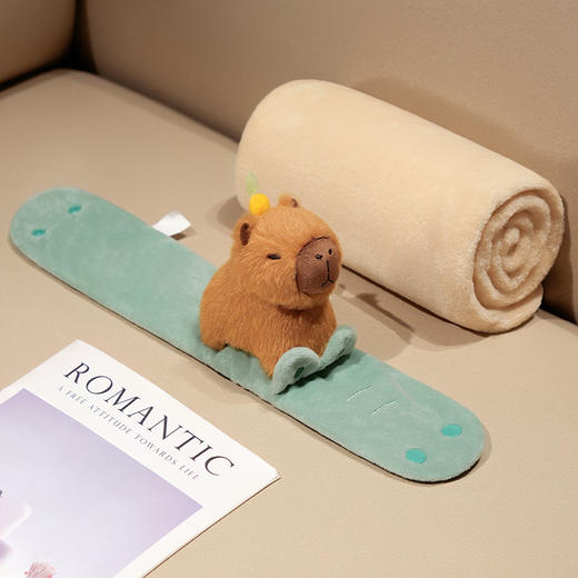 自然醒趣味水豚立体卷毯午休办公室午睡空调毯子儿童珊瑚绒毛毯汽车载QYL 商品图11