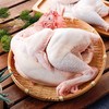 冷鲜 文昌鸡/份 母鸡 商品缩略图0