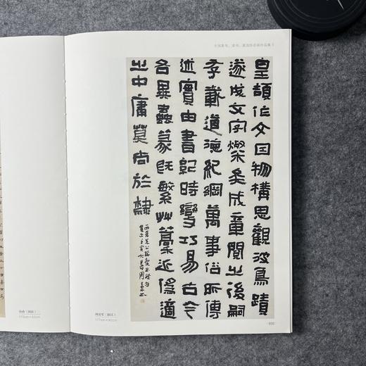 2022中国书法年展 全国篆书隶书篆刻作品集 商品图8