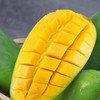 广西金煌芒果一级2.25kg（单果400g+） 商品缩略图4