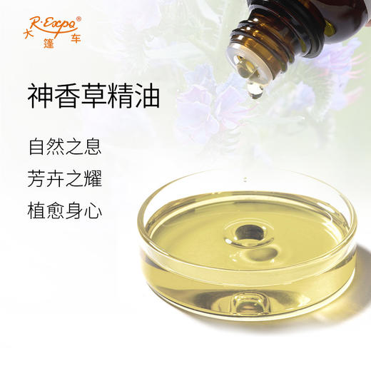 神香草精油 精油原料批发个人芳疗护理香氛调香香薰 大篷车精油 商品图1