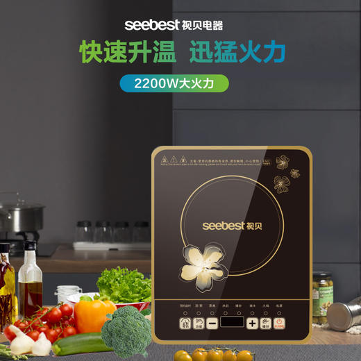 SKN02B 电磁炉 商品图0