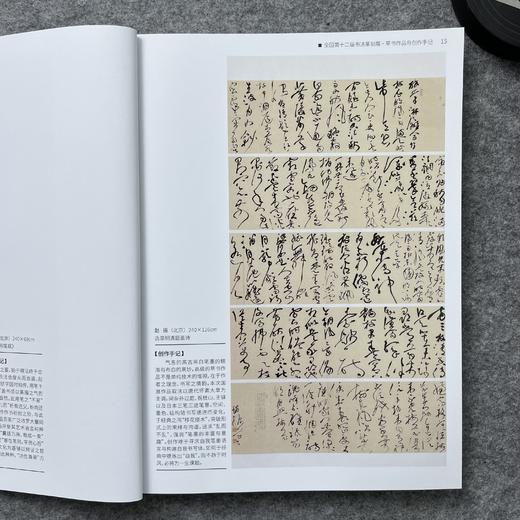 【全国十二届书法篆刻展-草书入展创作手记十二届国展-草书创作手记】 商品图5