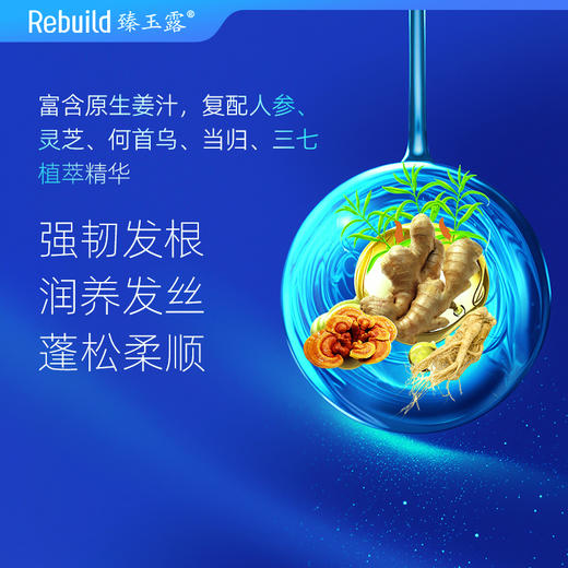 免费试用！【每购1瓶送价值49元同款100ml1瓶试用，多买多送】臻玉露Rebuild生姜氨基酸润养洗发露、护发精华乳、润肤沐浴露 商品图8