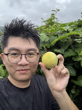 老板自己摘的鸡蛋果