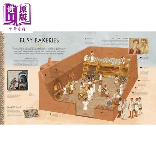 【中商原版】DK古代史系列 古罗马 Ancient Rome 英文原版 儿童历史读物 科普知识绘本 进口童书 精装 9岁以上 商品图2