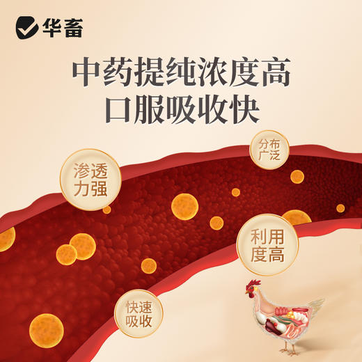 华畜麻杏石甘口服液500ml  止咳平喘清热宣肺 吸收率高饮水方便 商品图2