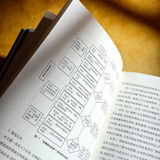 跨学科课程的10个创意教学设计 叶王蓓 立足新课程标准 中小学案例 商品图10