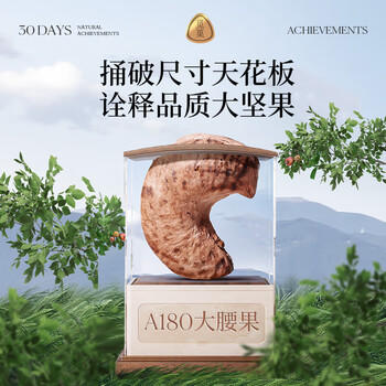 觅菓（miguo）越南A180紫衣大腰果腰仁低温烘焙淡盐味坚果炒货休闲零食500g/罐 商品图2