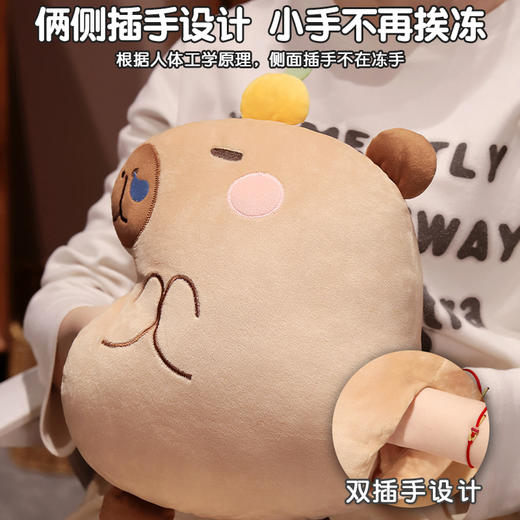 自然醒水晶绒佛系水豚三合一抱枕毯两用可插手午睡枕办公室午休趴枕QYL 商品图3