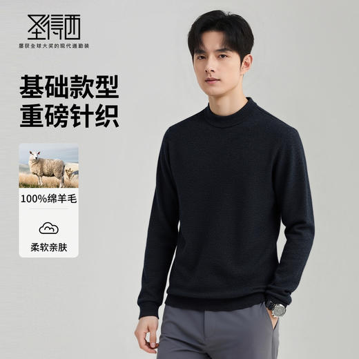 【100%绵羊毛】圣得西男士基础款型重磅羊毛衫2025秋季新款舒适百搭毛衣 商品图1