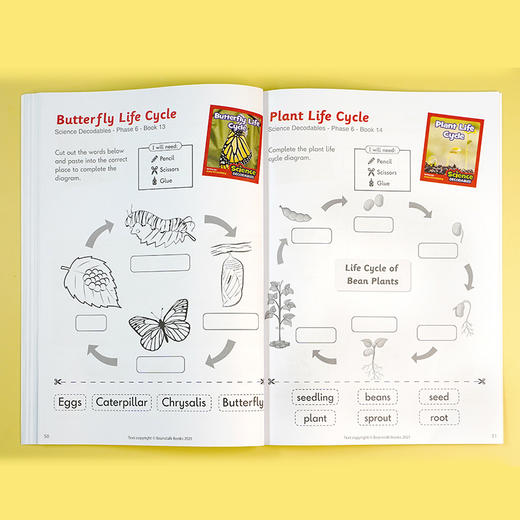 【代发】文脉书局junior自然拼读科普解码书分级阅读英语音标教材绘本 商品图11