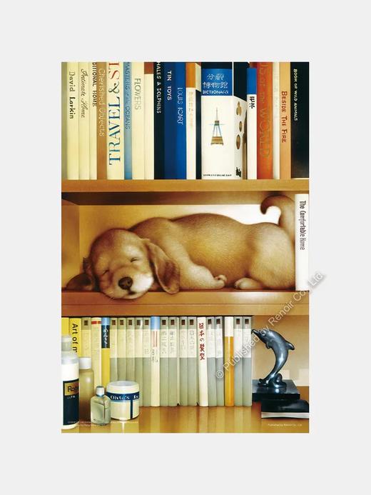 书香梦游/300片 商品图0