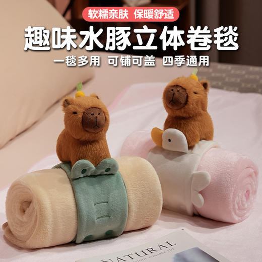 自然醒趣味水豚立体卷毯午休办公室午睡空调毯子儿童珊瑚绒毛毯汽车载QYL 商品图0