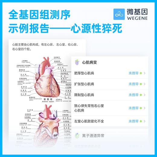 【全基因组测序】WeGene微基因 个人基因检测 1人份 商品图3