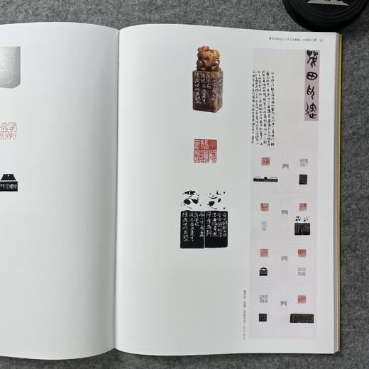 【国展内参-篆刻印屏设计与作品合集】 商品图9