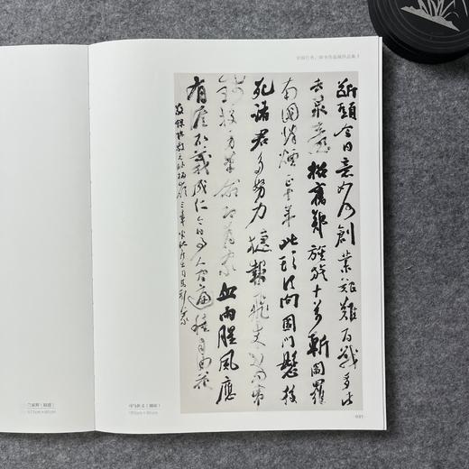 2021年中国书法年展·行书草书作品集 商品图6