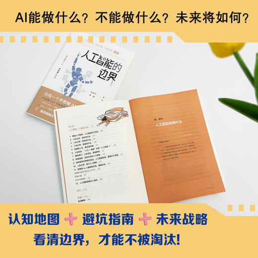 人工智能的边界 人工智能无处不在，无所不能？未来无限！ 商品图5
