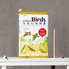 鸟类行为图鉴 商品缩略图2