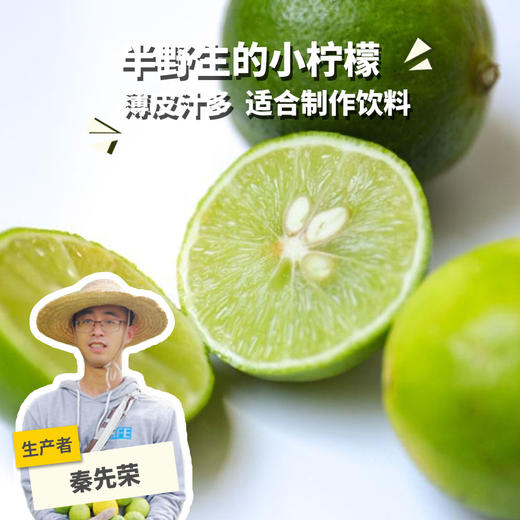生态小青柠（柠檬，云南） | 合作生产*Eco lime | Partner Production 商品图0
